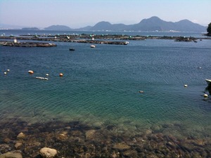 Img_0125_2