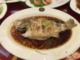 img0029.jpg